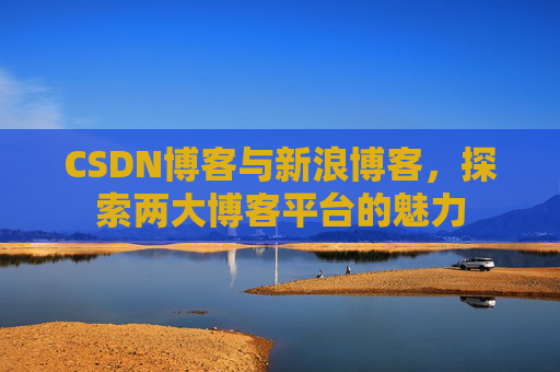 CSDN博客与新浪博客，探索两大博客平台的魅力